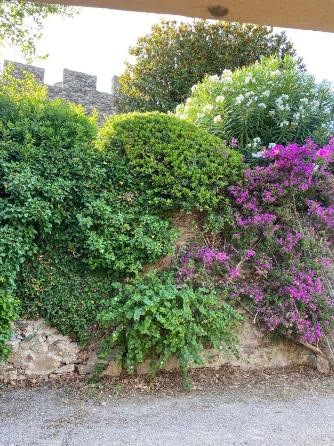 Pretty Historical Village House Grimaud Exteriör bild